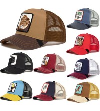 Dress, hat and shoes DHS22046